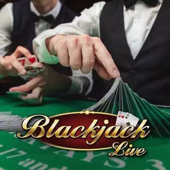 Live Casino logo of Live Blackjack from Evolution at Dragonia Casino